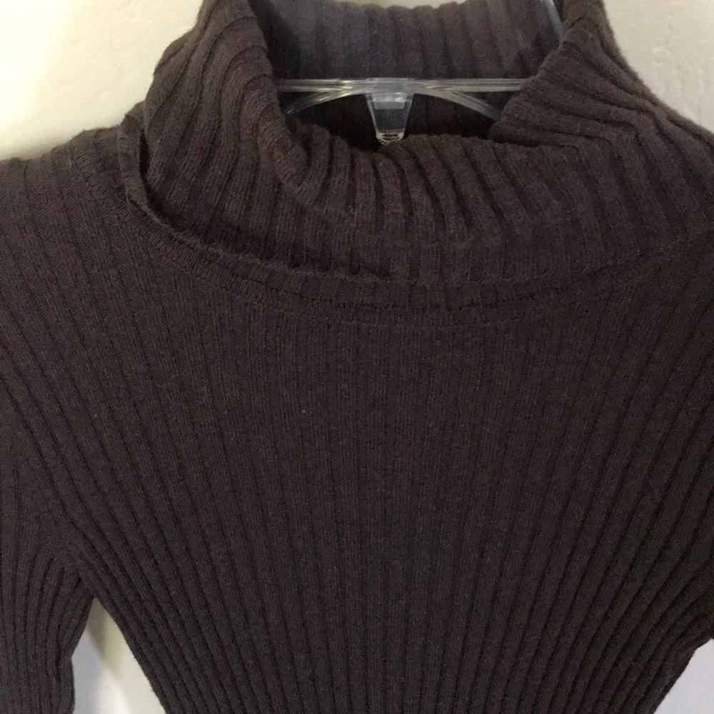 EXPRESS Brown Turtleneck sweater